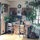 「自分だけの椅子に♪ぬくもり感じる木のDIYチェアを作ろう」の画像4