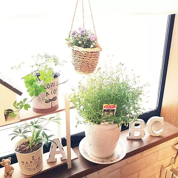 「絶対買い♡セリアのアルファベットオブジェでセンスアップ」の画像