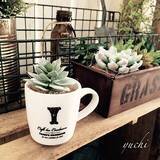 「ちょっとした場所にもこだわりを☆セリアのオブジェ活用術」の画像10