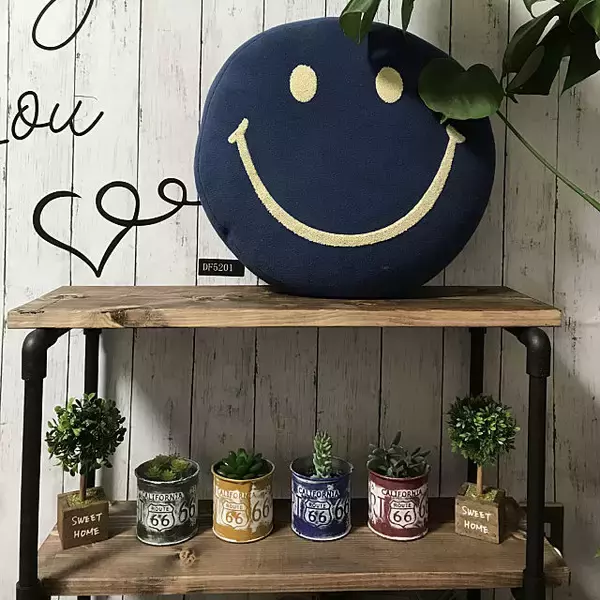 「これができればDIY職人☆パイプを使ったインテリアが凄い」の画像