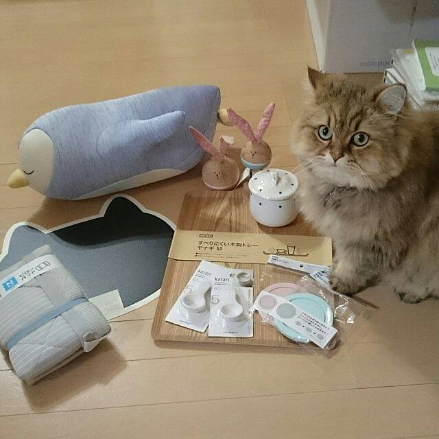 心も身体も癒してくれる ニトリの抱き枕を使いこなそう 18年7月24日 エキサイトニュース