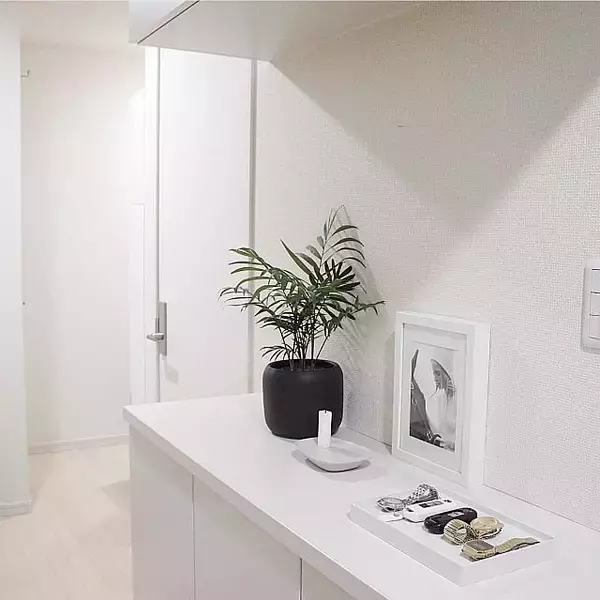 「使いやすくて美しい！ゴチャつかない、理想の玄関収納法」の画像