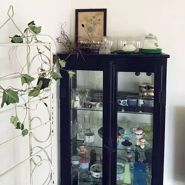 「置くだけでも絵になる！ドクターキャビネットの使い方」の画像