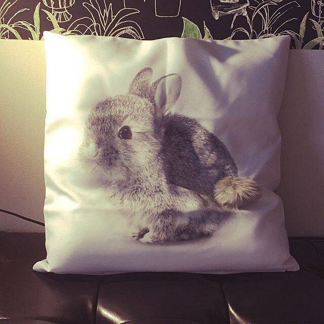 ニトリで見つけた ガーリーなお部屋にぴったりのアイテム 18年5月19日 エキサイトニュース