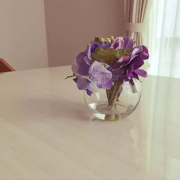 「本物みたいな魅力☆ニトリのエアプランツ&造花の飾り方」の画像