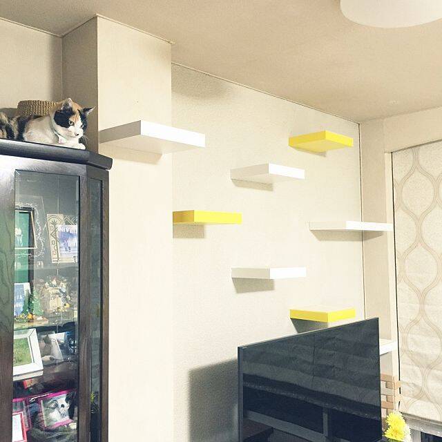 猫も人もhappy インテリアとして楽しむキャットウォーク 18年7月4日 エキサイトニュース 2 3 猫も人もhappy インテリアとして楽しむキャットウォーク 18年7月4日 エキサイトニュース 2 3