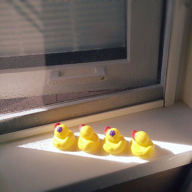 ダイソーでみつけた♡お風呂を充実させる愛しいアイテム