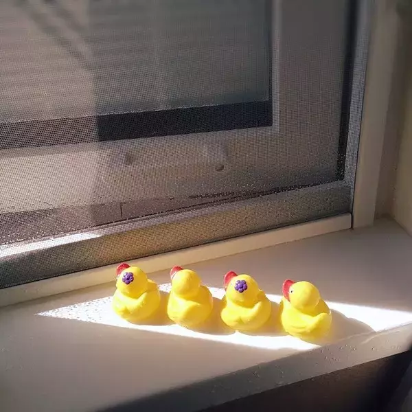 「ダイソーでみつけた♡お風呂を充実させる愛しいアイテム」の画像