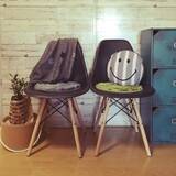 「ニトリ・しまむらで発見！便利なチェアパッドをご紹介」の画像1