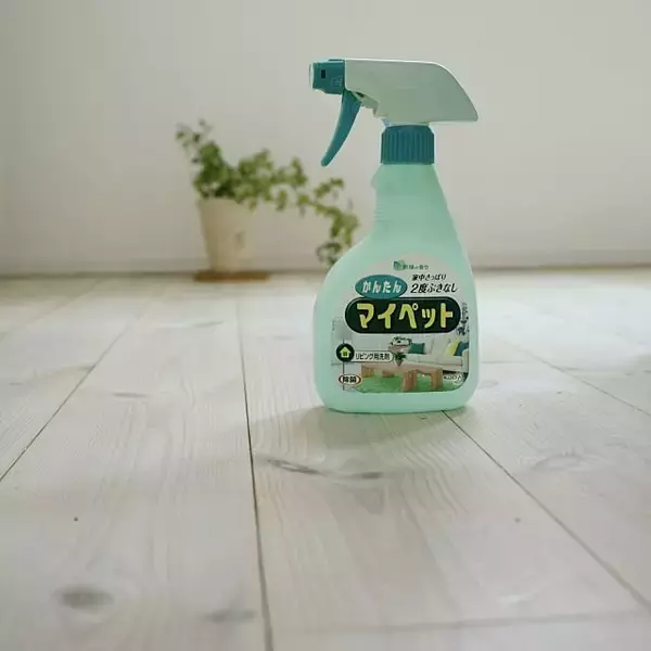 「清潔な床で毎日気持ちよく！床掃除を楽にする10の方法」の画像