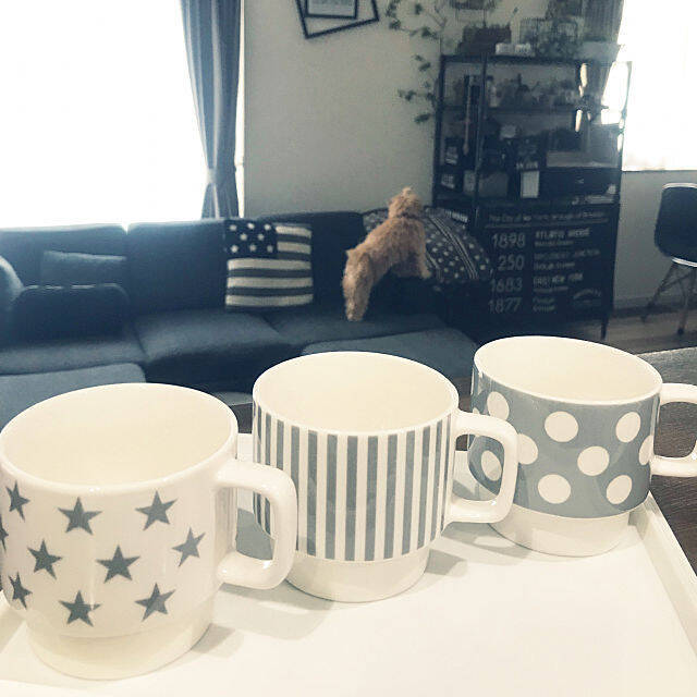 これは欲しくなる！ダイソーのとびきりキュートな食器たち