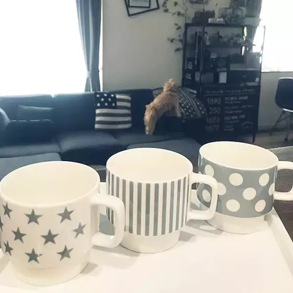 「これは欲しくなる！ダイソーのとびきりキュートな食器たち」の画像