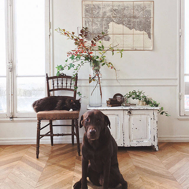 ヨーロッパの田園みたい♡ファームハウスインテリアの実例