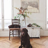 「ヨーロッパの田園みたい♡ファームハウスインテリアの実例」の画像9