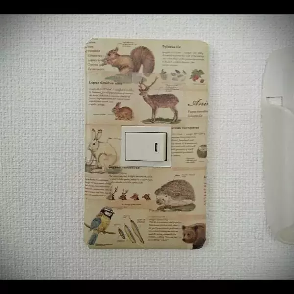 「壁面を彩る！DIYで完成させる個性的なスイッチカバー」の画像