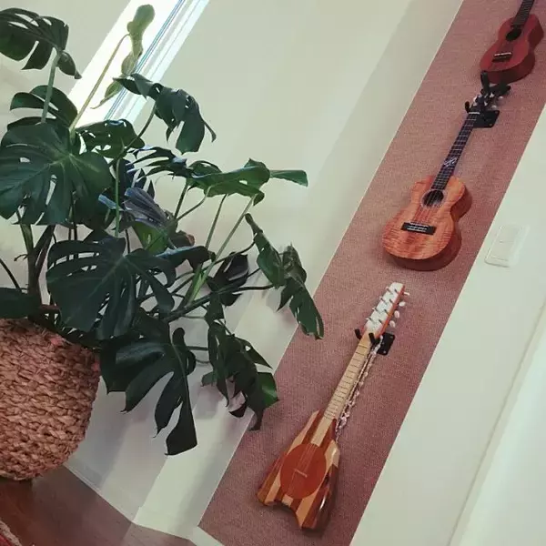 「挑戦しよう！洗練されたハワイアンインテリアはこう作る！」の画像