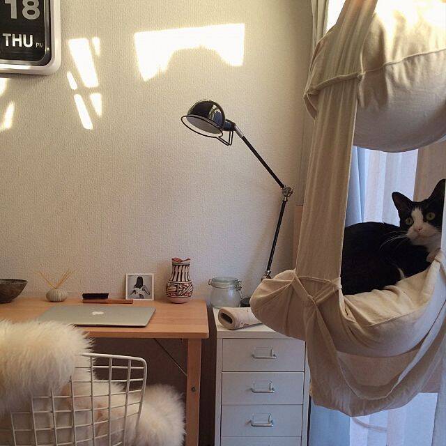 お部屋にキャットタワーを♡猫と楽しみながら暮らす方法