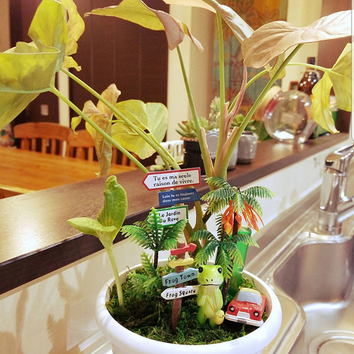 箱庭感覚で置くだけ 植木鉢をかわいく変える簡単メソッド By Rujuさん 18年7月31日 エキサイトニュース