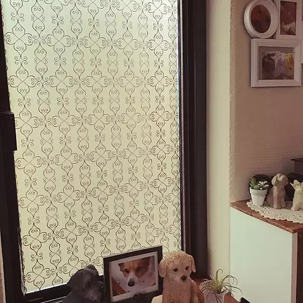 「貼る場所を探したくなっちゃう♡100均ガラスシート活用例」の画像