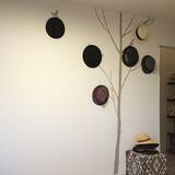 「帽子はどうしまう？すぐ試してみたくなる収納アイデア」の画像5