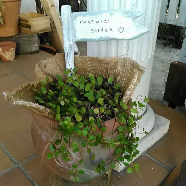 「変幻自在なアイテムに変身♡ざっくり感が心地よい麻袋DIY」の画像