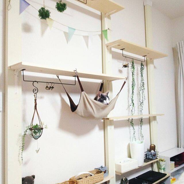 ネコ飼いさんがdiy ネコちゃんがよろこぶ手作り遊び場 18年9月日 エキサイトニュース