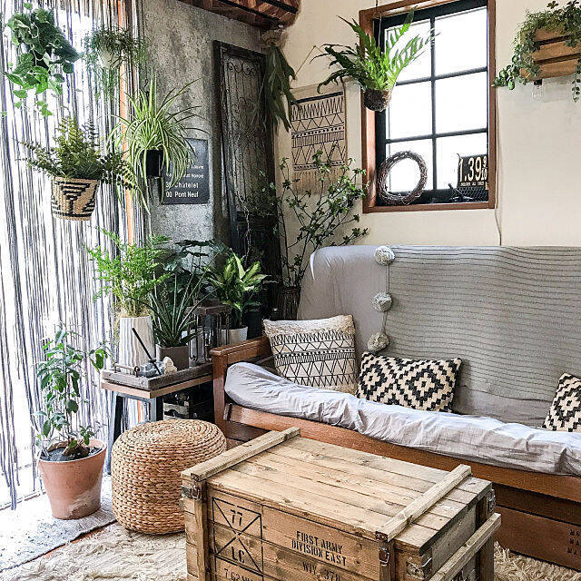 リビング グリーンで癒やしの快適空間へ 緑のある暮らし 18年11月19日 エキサイトニュース 2 3