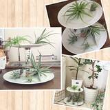 「デザイン違いで色々作りたくなる！ケーキスタンドをDIY」の画像7