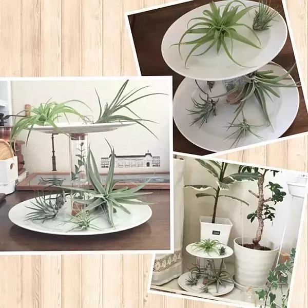 「デザイン違いで色々作りたくなる！ケーキスタンドをDIY」の画像