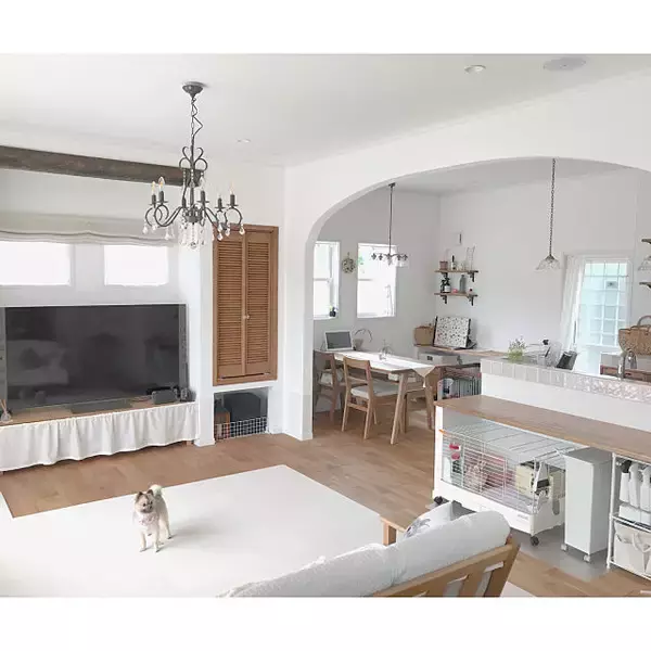 「買ってよかった！無印良品&ニトリの魅力的なアイテム集」の画像