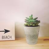 「流して固めるだけ♡簡単なのにかっこいい、セメントDIY」の画像2