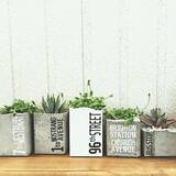 「流して固めるだけ♡簡単なのにかっこいい、セメントDIY」の画像3