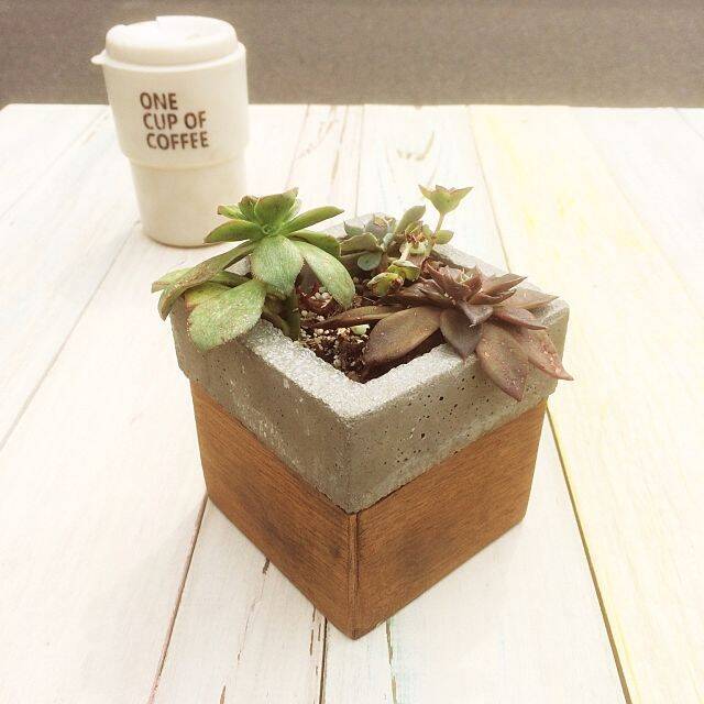 流して固めるだけ♡簡単なのにかっこいい、セメントDIY