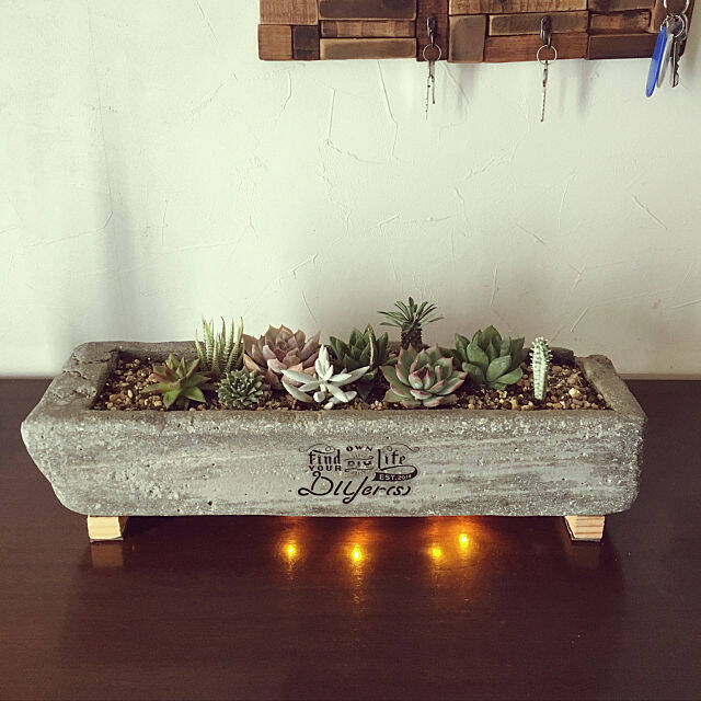 流して固めるだけ♡簡単なのにかっこいい、セメントDIY