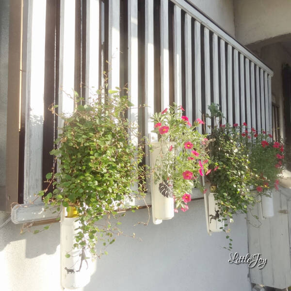 西日が当たる部屋でも快適に過ごしたい 良い対策方法は 18年10月15日 エキサイトニュース