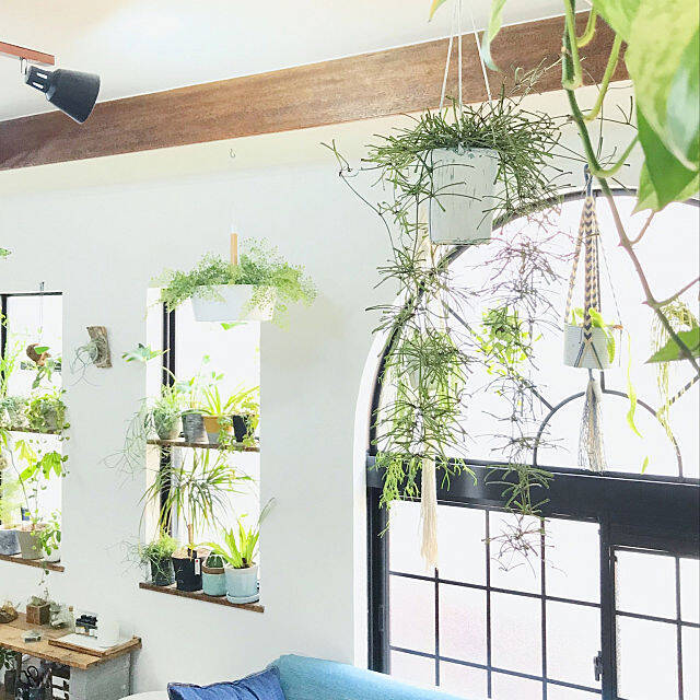 No Green No Life 緑あふれる癒し空間ボタニカルスタイル 18年11月12日 エキサイトニュース 3 3 No Green No Life 緑あふれる癒し空間ボタニカルスタイル 18年11月12日 エキサイトニュース 3 3