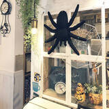 「こんなアイディアも！100均グッズでハロウィンを飾ろう」の画像5