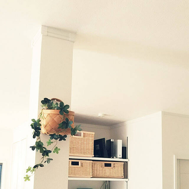 場所を選ばず自由にアレンジ ダイソーのフェイクグリーン 19年1月日 エキサイトニュース