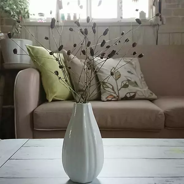 「華やかにもシンプルにも花を愛でる♡ダイソーの花瓶」の画像