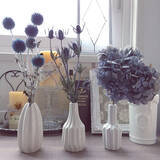 「華やかにもシンプルにも花を愛でる♡ダイソーの花瓶」の画像5