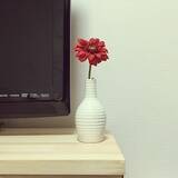 「華やかにもシンプルにも花を愛でる♡ダイソーの花瓶」の画像8