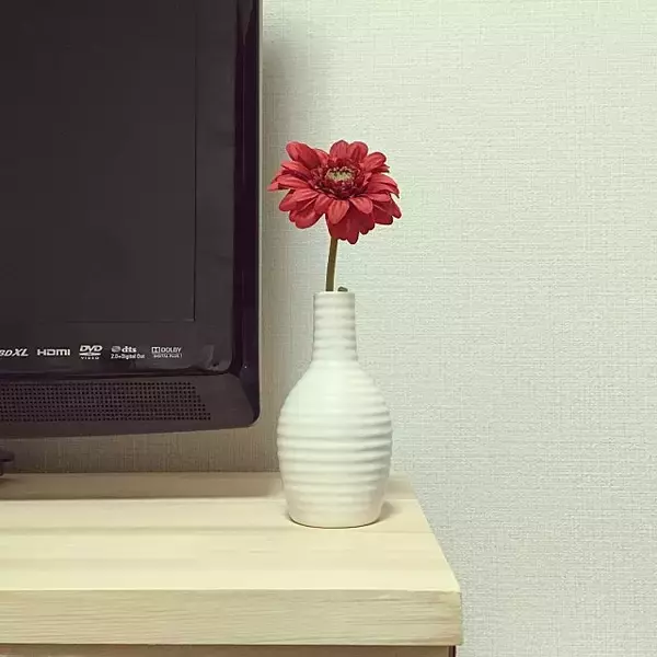 「華やかにもシンプルにも花を愛でる♡ダイソーの花瓶」の画像