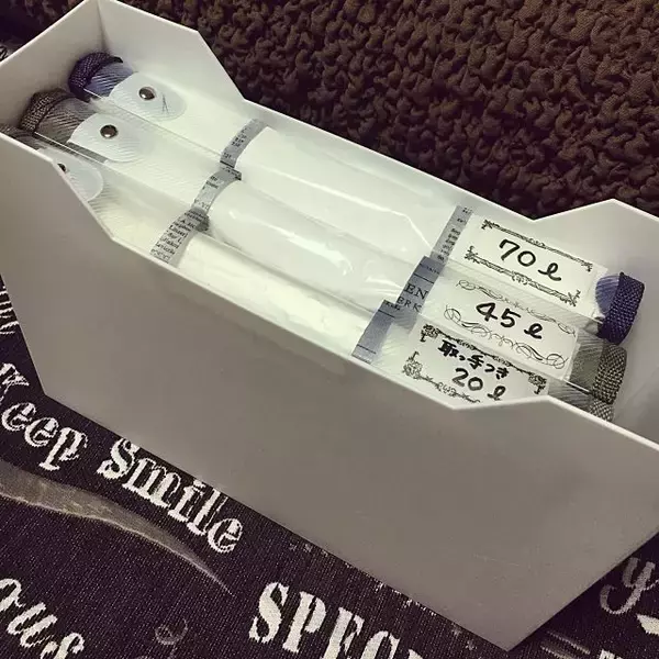 「アレもコレもスッキリまとまる！ファイルケースの活用法　」の画像