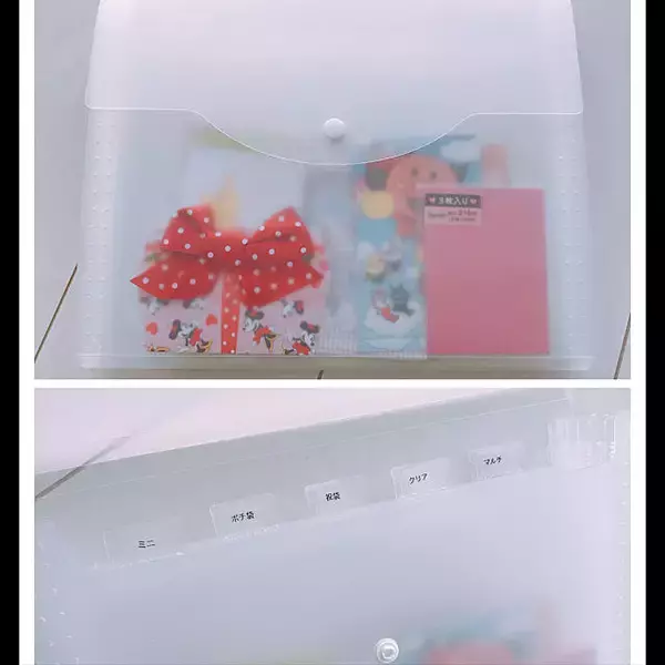 「アレもコレもスッキリまとまる！ファイルケースの活用法　」の画像