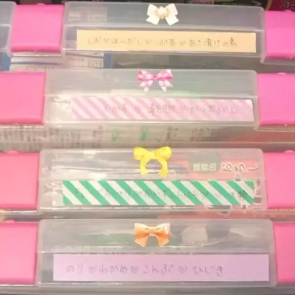 「アレもコレもスッキリまとまる！ファイルケースの活用法　」の画像