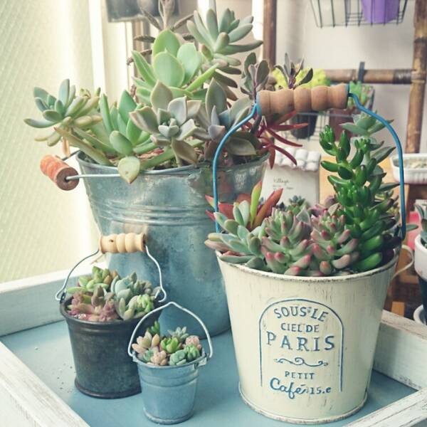 この組み合わせ最高 グリーンとセリアのブリキアイテム 19年3月31日 エキサイトニュース