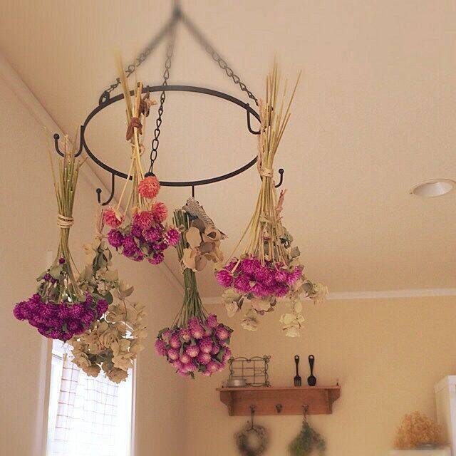 空間に彩りをプラス セリアのアイアンサークルに吊るす 19年7月4日 エキサイトニュース 2 3