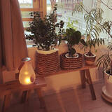 「シンプルで美しいから好き♡無印良品のベンチがあるお部屋」の画像2