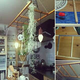 「見のがせない！手作りのラダーシェルフで秀逸ディスプレイ」の画像6