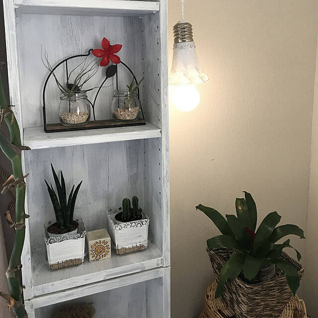 それ、捨てないで‼空き容器を使ったリメイク雑貨がすごい